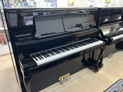 �J���CDS85�i���ÍĒ����i�j