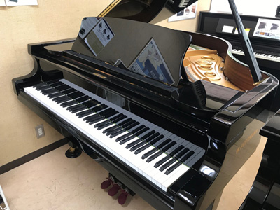 �z�t�}���E�g���f�B�V����T-161 (�V�i)