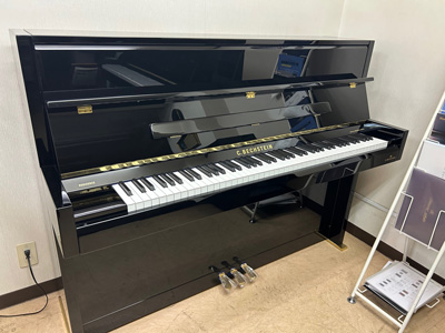 �x�q�V���^�C���@Millenium 116K (���ÍĒ���)