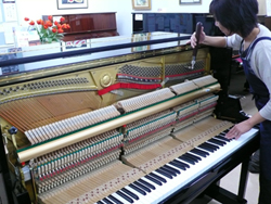 ���y����